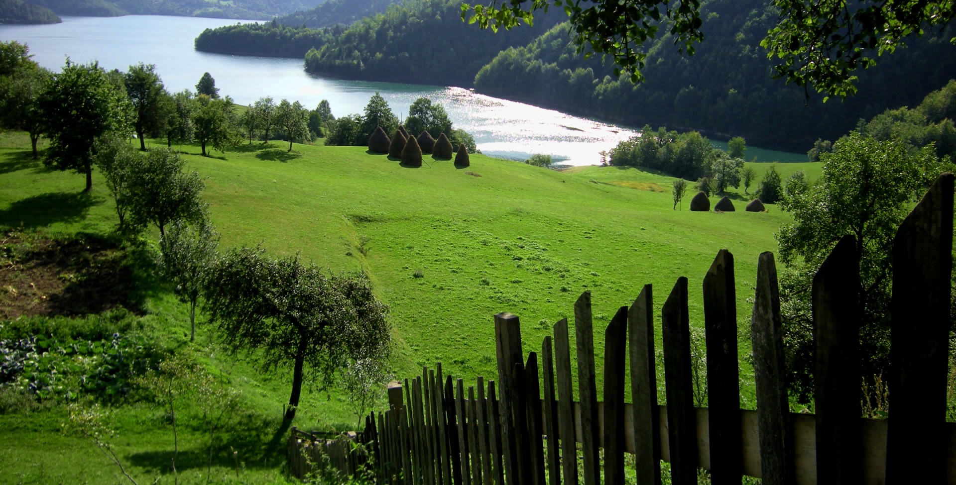 Старопланински Мехлемi